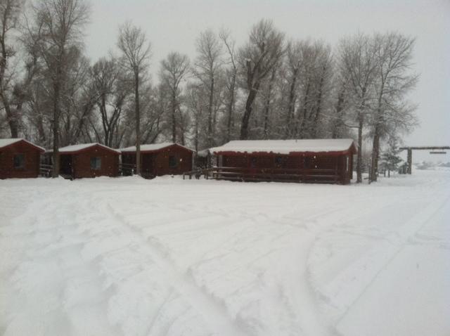 Teton Valley Cabins Driggs Exterior photo